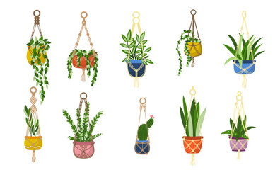 Vector set of handmade macrame hangers pots with houseplants isolated on white background. Scandinavian style interior decoration illustration