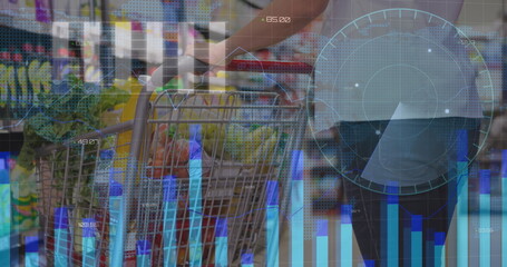 Image of financial data processing over shopping cart - Powered by Adobe
