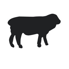 Animal Silhouette 