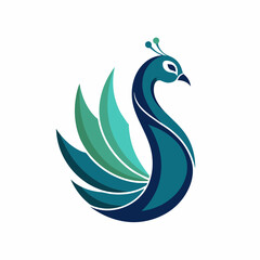 black and white bird