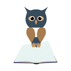 Owl on open empty book. Isolated owl character flat design Jpeg illustration
