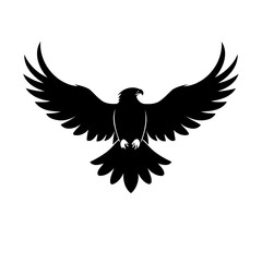 Simple vector illustration of Eagle outline for colouring page