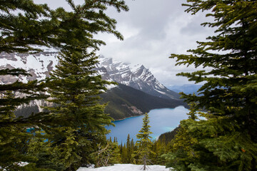 Summer landscape in Peyto lake, Banff National Park, Canada