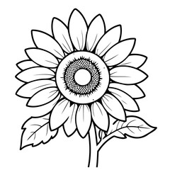 Cute vector illustration sunflower for kids colouring worksheet