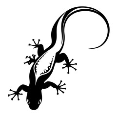 Cute vector illustration Lizard doodle for kids colouring page