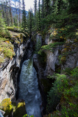 Summer landscape in Maligne Canyon, Jasper National Park, Canada