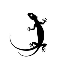 Fototapeta premium Simple vector illustration of Lizard drawing for toddlers colouring page