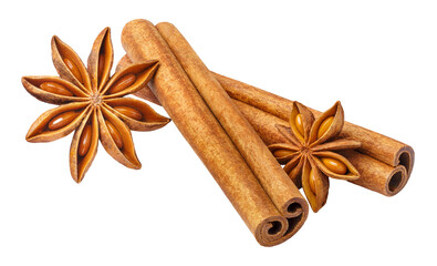 Delicious cinnamon sticks and star anise, cut out