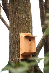 公園の木に設置された巣箱