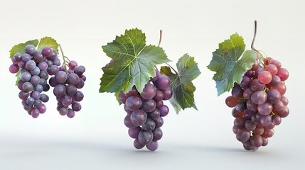 Fototapeta premium Set of Ripe Grapes with Leaves Cut Out 8K