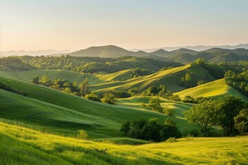 Lush Green Hills in Soft Morning Light