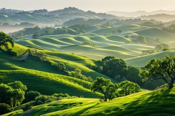 Lush Green Hills in Soft Morning Light