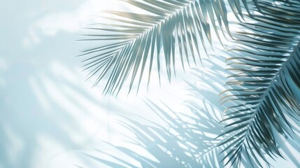Tropical tranquility: palm leaves on a white fuzzy background