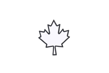 PNG, Maple leaf, isolated on white background