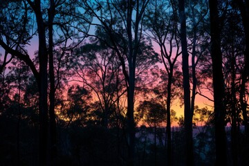 Obraz premium A row of trees with a purple sky in the background