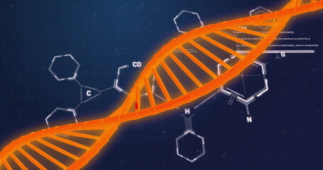 Image of dna strand and data processing with chemical formula on black background