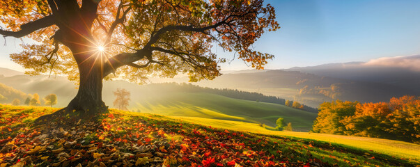Beautiful autumnal landscape with huge tree and sun rays coming through, green hillside and meadows, colourful seasonal background.