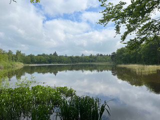 Lake in Sint Nicolaasga