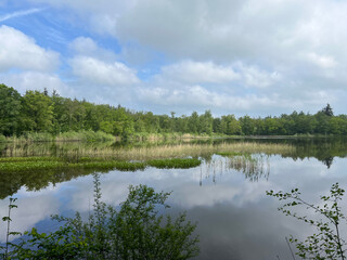 Lake in Sint Nicolaasga