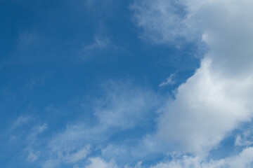 見上げると美しい空