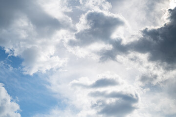 見上げると美しい空