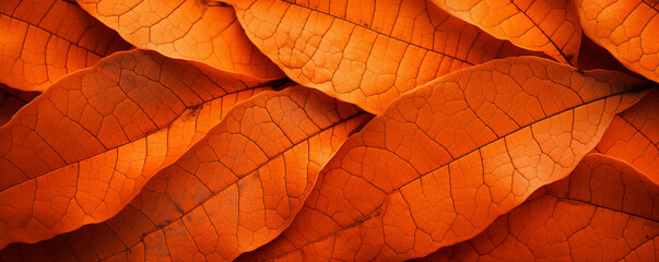Obraz premium Close-up of autumn leaves texture, abstract nature background, generated ai 