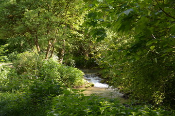 Photographs in the nature of Germany. The Urach Waterfalls are located in the town of Bad Urach.