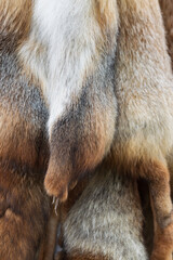 fox skin with fur for clothing as a background.