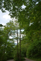 Fototapeta premium Photographs in the nature of Germany. The Urach Waterfalls are located in the town of Bad Urach.