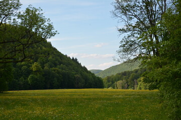 Photographs in the nature of Germany. The Urach Waterfalls are located in the town of Bad Urach.