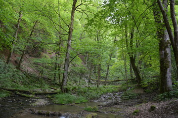 Photographs in the nature of Germany. The Urach Waterfalls are located in the town of Bad Urach.