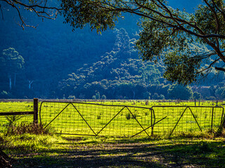 Fototapeta premium Set Of Farm Gates Against Blue Hillside