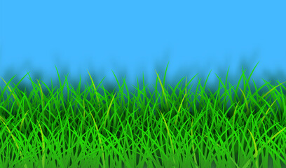 Summer background with green grass. Vector background