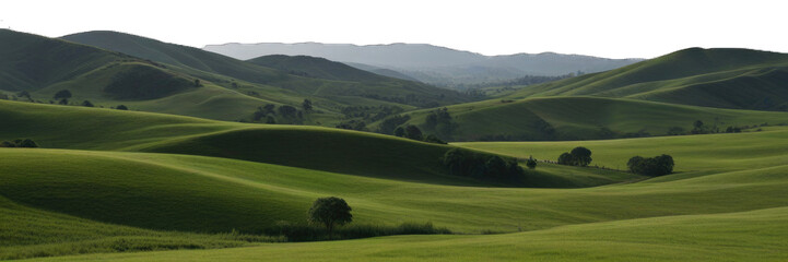 Fototapeta premium Green hills lanscape cut out. Nature panorama png.