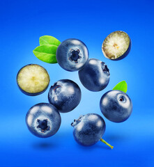 Blueberries levitating in air on blue background. File contains clipping paths.