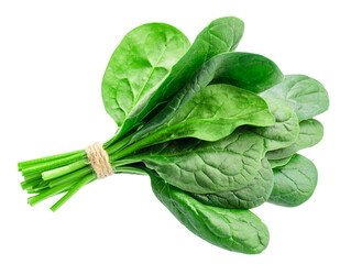 Bundle of green fresh spinach leaves isolated on white background.