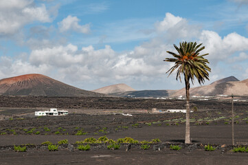 Lanzarote