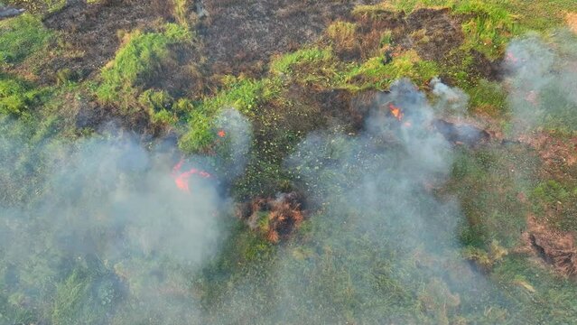 A bird's-eye vista captures a landscape marred by a small wildfire, smoke curling upward amidst patches of lush greenery and scorched earth. A poignant portrayal of nature's resilience.
