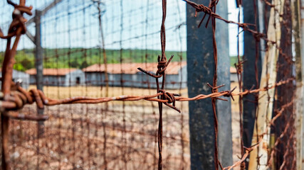 Close-up of rusty barbed wire on a fence against a blurred rural background, evoking concepts of restriction and freedom, related to Human Rights Day