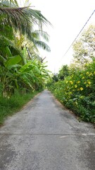 Fototapeta premium Narrow village street in countryside at Mekong Delta Vietnam.