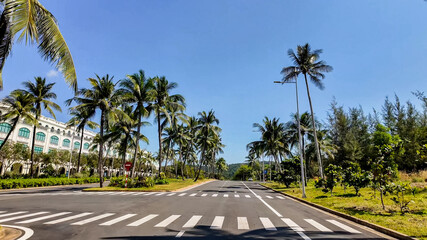 Sunny tropical boulevard with lush palm trees and clear blue sky, ideal for travel and summer...