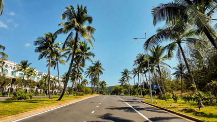 Sunny tropical boulevard with tall palm trees lining the road, suggesting summer vacation, travel destinations, or exotic holidays