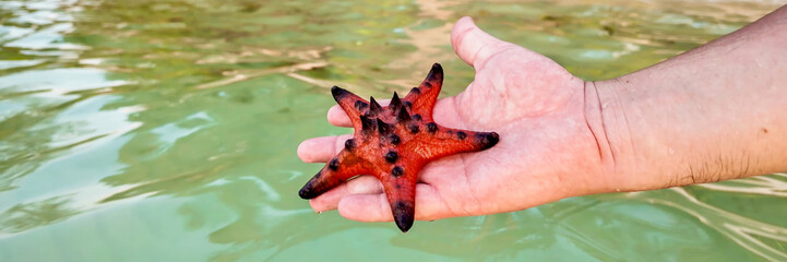 Close-up of a vibrant red starfish held in a Caucasian hand against a calm sea, evoking concepts of...