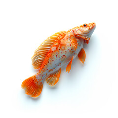 Orange Fish on White Background