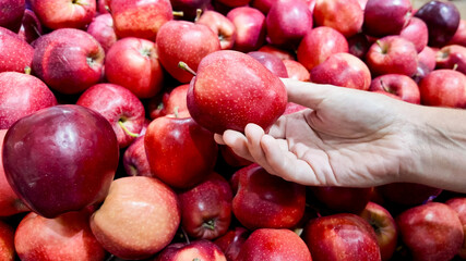 Hand selecting a fresh red apple from a pile at a farmer's market, symbolizing harvest season and healthy eating choices