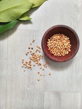 Coriender in the bowl