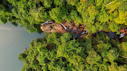 Aerial view of a narrow waterfall meandering through lush greenery, symbolizing environmental conservation and Earth Day, perfect for nature-themed designs