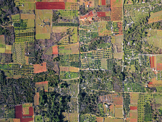 Fototapeta premium View of Stari Grad Plain Hvar Island in Croatia. The Stari Grad Plain is an incredible Unesco World Heritage Site, where the farming techniques practically haven’t changed since the 4th century BC.