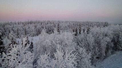 Breathtaking winter sunrise over a frosty forest landscape shrouded in mist, capturing the tranquility of nature during the holiday season Related concepts: winter solstice, Christmas