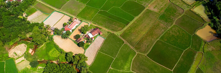 Aerial view of verdant rice terraces with a meandering road, showcasing sustainable agriculture and rural beauty, perfect for Earth Day and World Environment Day themes